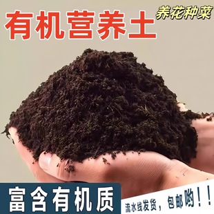 �I�B�������B���N�ˌ������������ԷNֲ���@ˇ�������������ЙC��