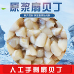 批发原浆扇贝丁不泡水新鲜瑶贝柱带子支持代发鲜贝鲜美海鲜鲜冻