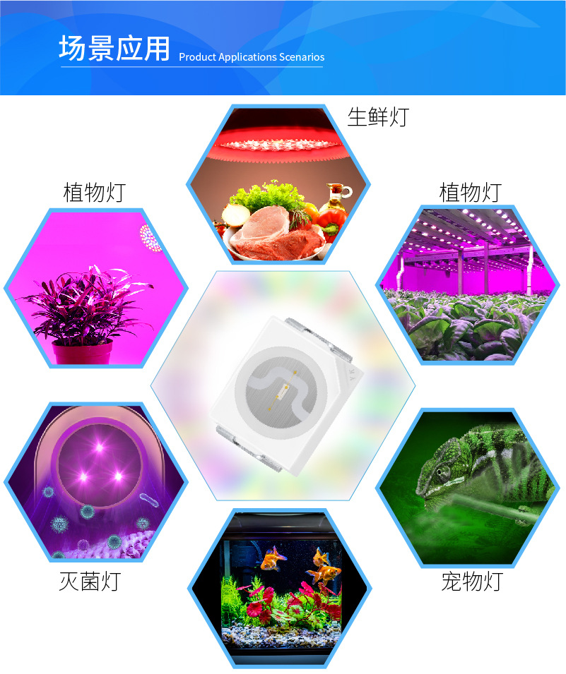 66-83详情3528B -04