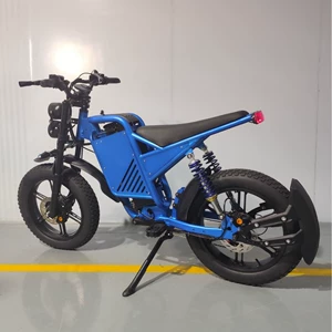 K15 Electric Assist Bicycle Dual Motor EBiK Electric Assist Bike Dual Shock Absorber Dual Drive Motor Electric Vehicle