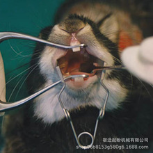 ����ǿ� �����ǻ���_�� ���X�����_���� ���� ������