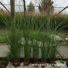 ���~�â���ػ��~â�� ���̾G��ˮ���ر��^�p�ݶ�����ֲ�：�~â