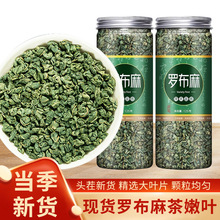 罗布麻新疆罗布麻中药材产地罐装茶原叶型源头工厂电商代发