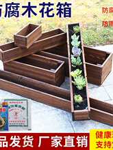 �������ľ���䌍ľ�L�����̨�N����̼������ľ������⻨��