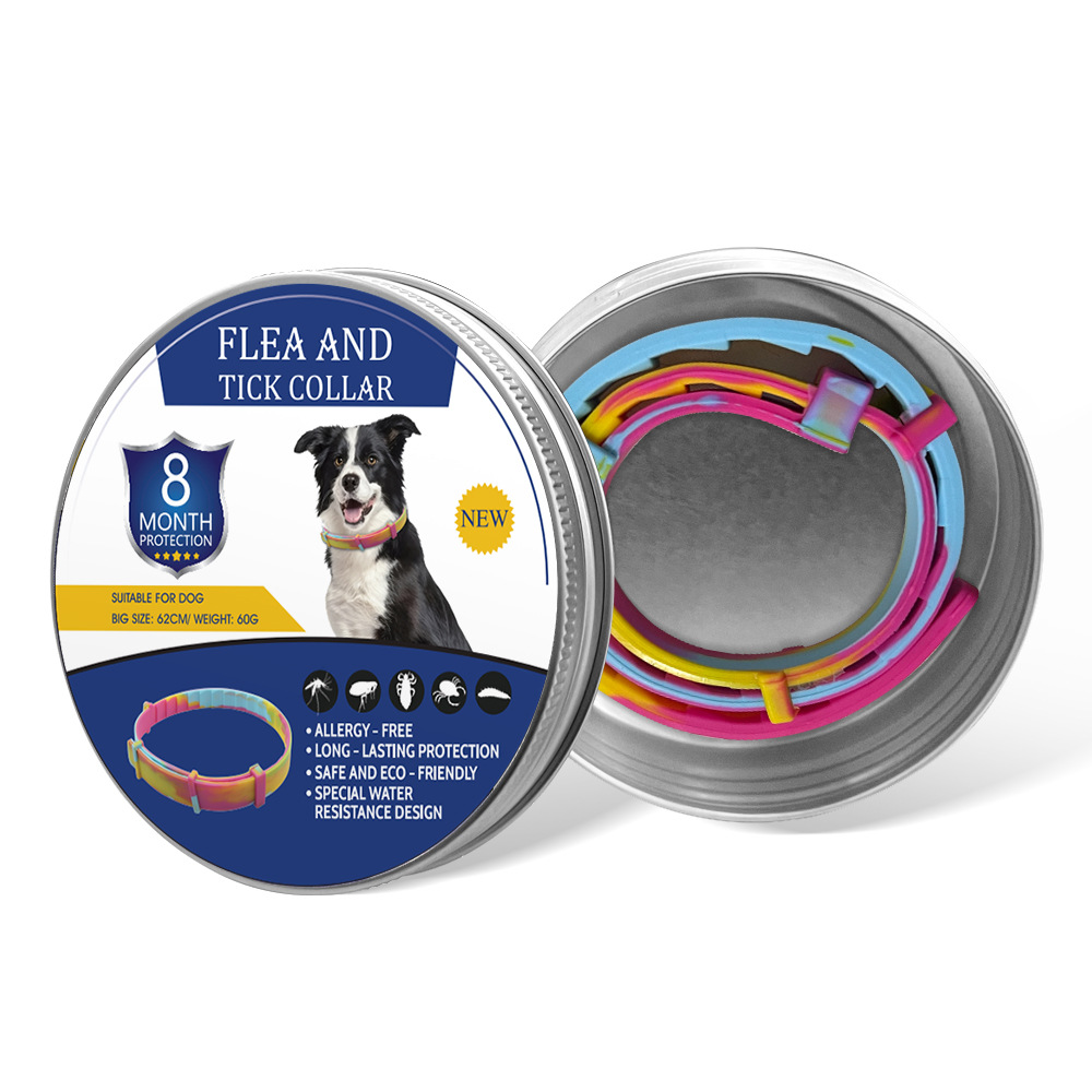 컬러 강아지 디자인 선물 세트