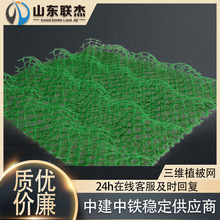 ���S�W�ͺ�ֲ���W����ֲ�ݾW�F·��·�����W�����W�|hdpe���پG��