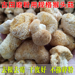 Специализированный порошок для измельчения Fujian, грибы с грибами на головку.