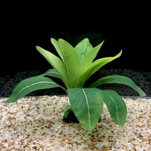 ~ˮݴ~ӽˮк󾰼ٲ쾰F؛ b̖ɫl