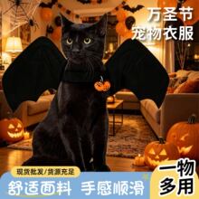�羳�S�����l�¿���·��f�}������؈�乷��������׃�����
