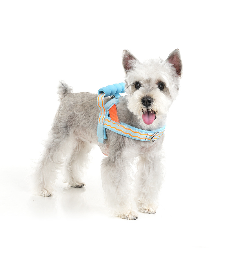 Fashionable Dog Harness With Foam Handle For Small Medium Dogs_voghion.com