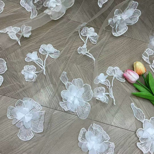 �W�����wӆ���ٽz�������� �ع��Y���鼆�B��ȹ�̽�Ů�b�����o��