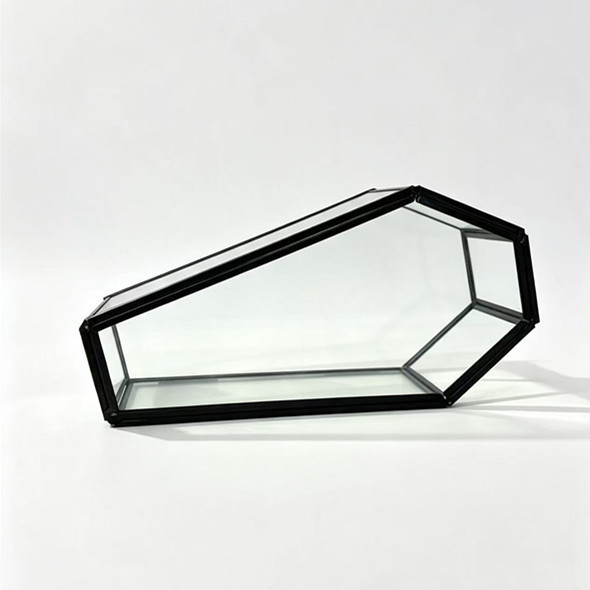 Halloween Coffin Box for Insects and Small Animals, Glass Ash Box, Mini Gothic Ghost Festival Jewelry Storage Box Halloween Coffin Box for Insects and Small Animals, Glass Ash Box, Mini Gothic Ghost Festival Jewelry Storage Box