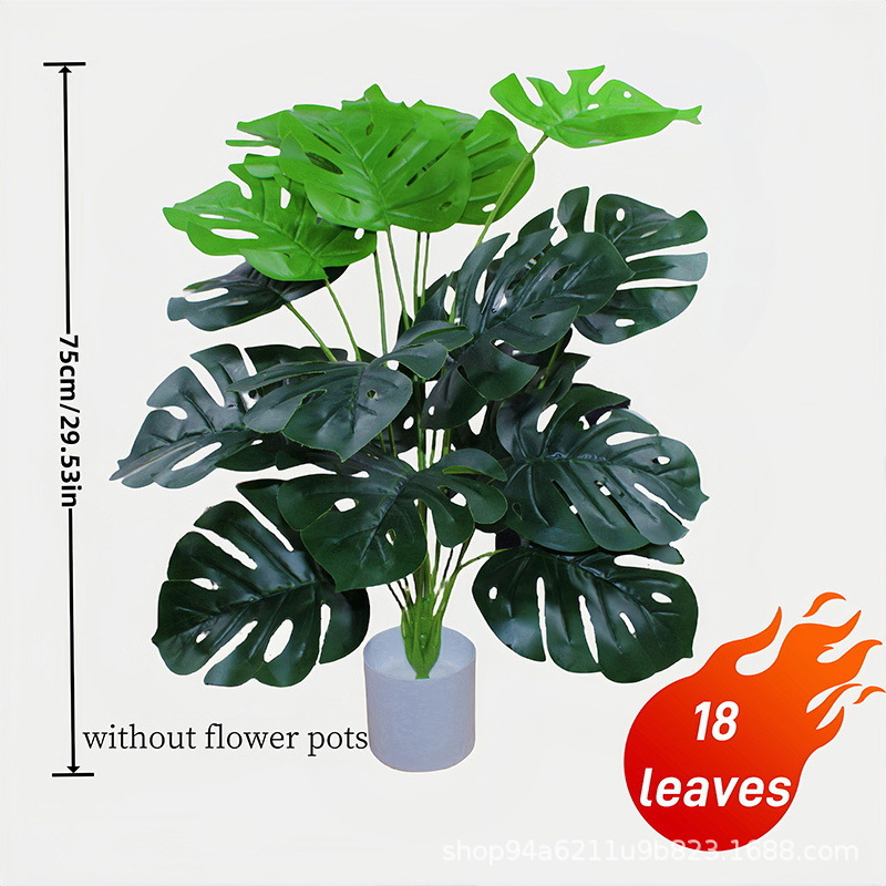 75cm 거북잎 18개