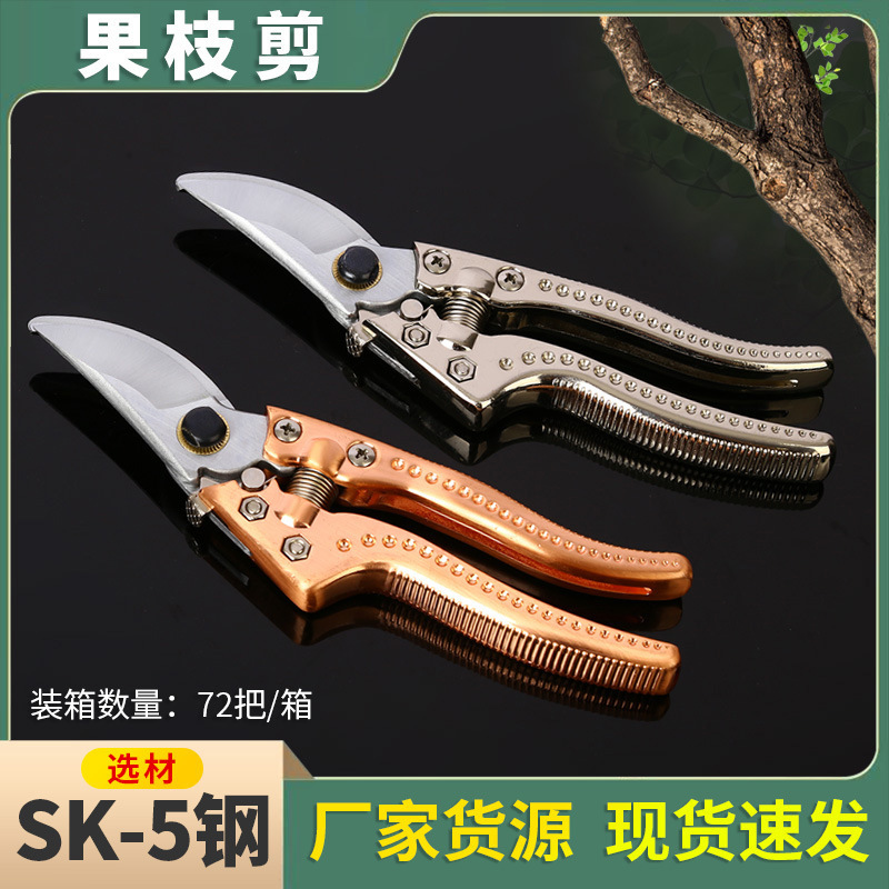 花卉摘果剪树枝剪刀园艺剪修枝剪花剪园林花艺工具不锈钢果枝剪