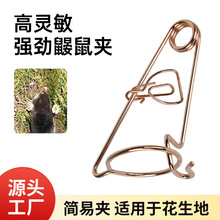 镀铜鼹鼠夹捕鼠器 厂家直供金属捕鼹鼠器捕鼠工具