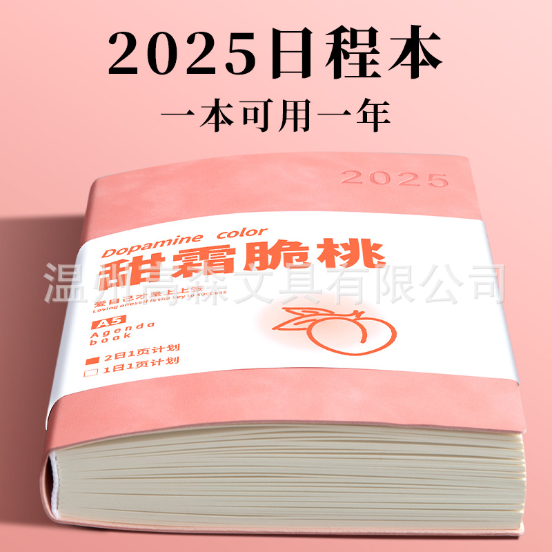 스팟도매 2025 일정 사업업무노트 효율성 매뉴얼 자기계발 펀치카드 일일 플래너