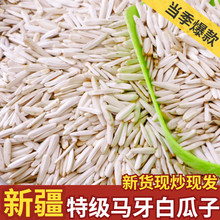 新货新疆特产阿克苏尖下巴马牙白瓜子饱满牙签葵花籽原味白皮瓜子