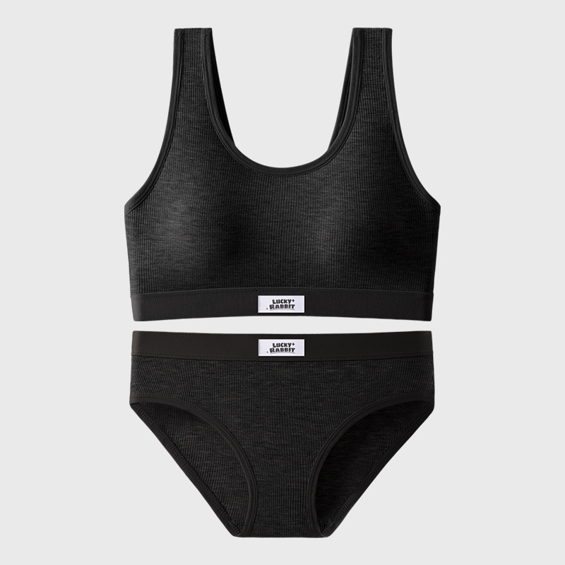 Nuevo traje de sujetador de las mujeres sexy cómodo espalda pequeño pecho push up anti-exposición deportes bottoming ropa interior