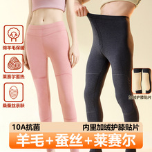 加护膝厚绒裤莱赛尔绵羊毛桑蚕丝加绒加厚保暖裤男女士秋冬款秋裤