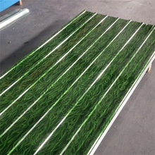 СݲʉT 0.25īСݲ䓾 ؇С݈D䓰