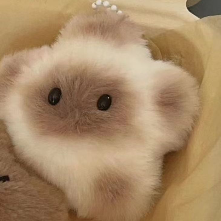 Capibala bolsos colgantes de estrellas chirrantes lindos delfines budistas mochila creativa peluche colgantes llaveros