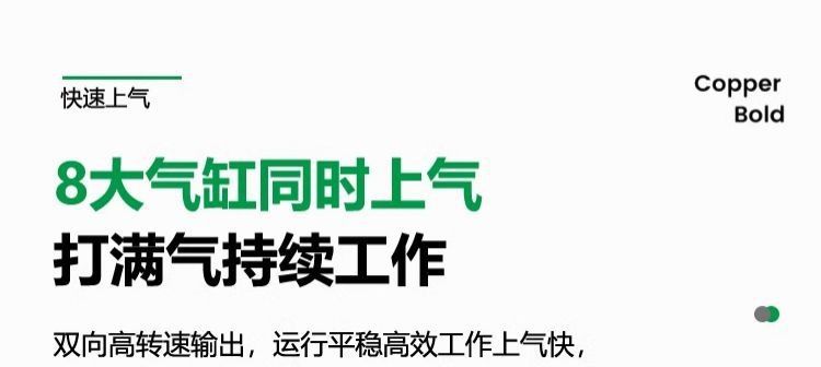 Oil-free silent air compressor, small 220v portable woodworking air pump, high-pressure air pump, practical air compressor