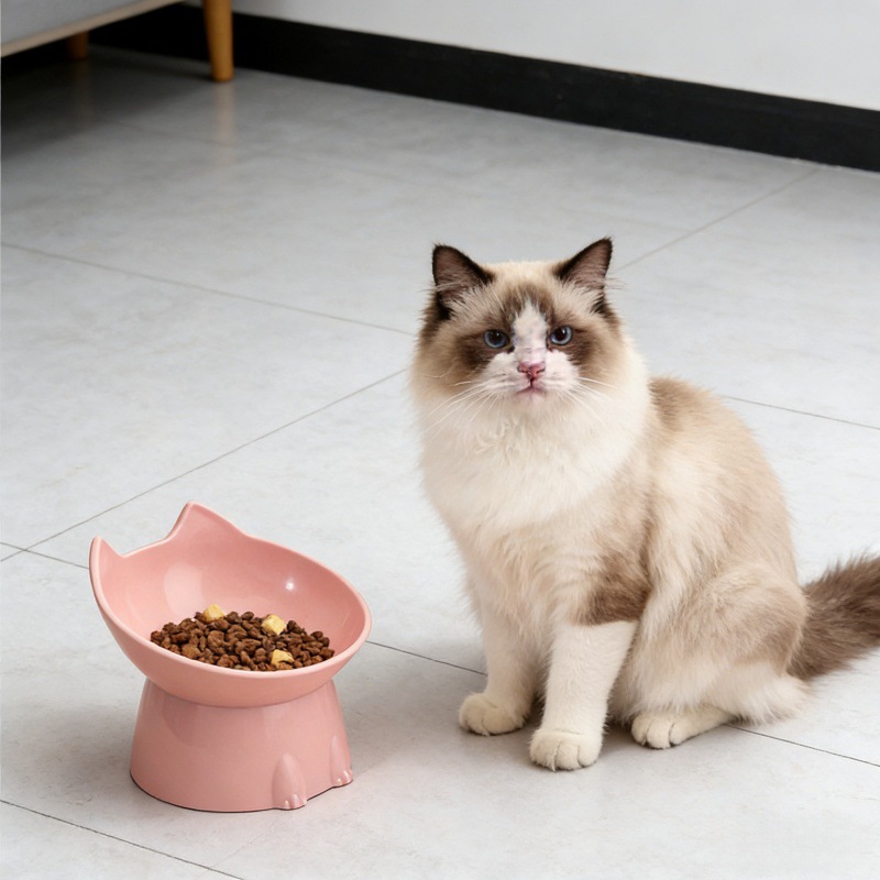 Cocos para mascotas de boca inclinada para gatos y perros, cuenco de alimentación para gatos, cuenco de arroz para gatos, cuenco de pies altos, cuenco de gatos al por mayor.
