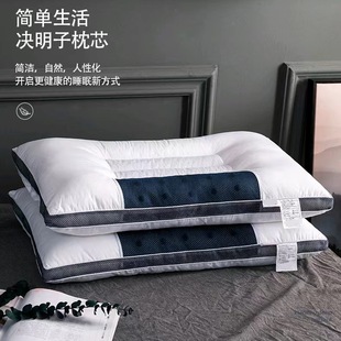 Factory direct cotton cassia seed pillow core household adult cervical pillow stereo magnetic therapy health pillow core wholesale
