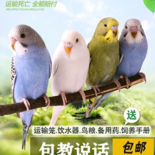 �W�^���B������B����С�B녰��W�^��С�͕��fԒ���B��Ƥ�W�^����