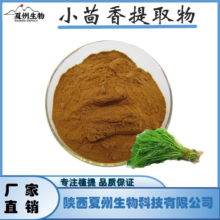 小茴香提取物10/20/30:1 孜然浓缩萃取粉 植物提取 kg装