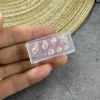 [066-贝壳]