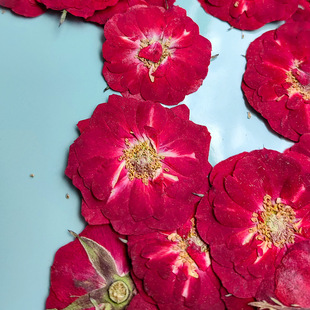 ��ϸɻ��������S�ֹ�diy������� ���~�˱��ɻ����׸ɻ��N�滨