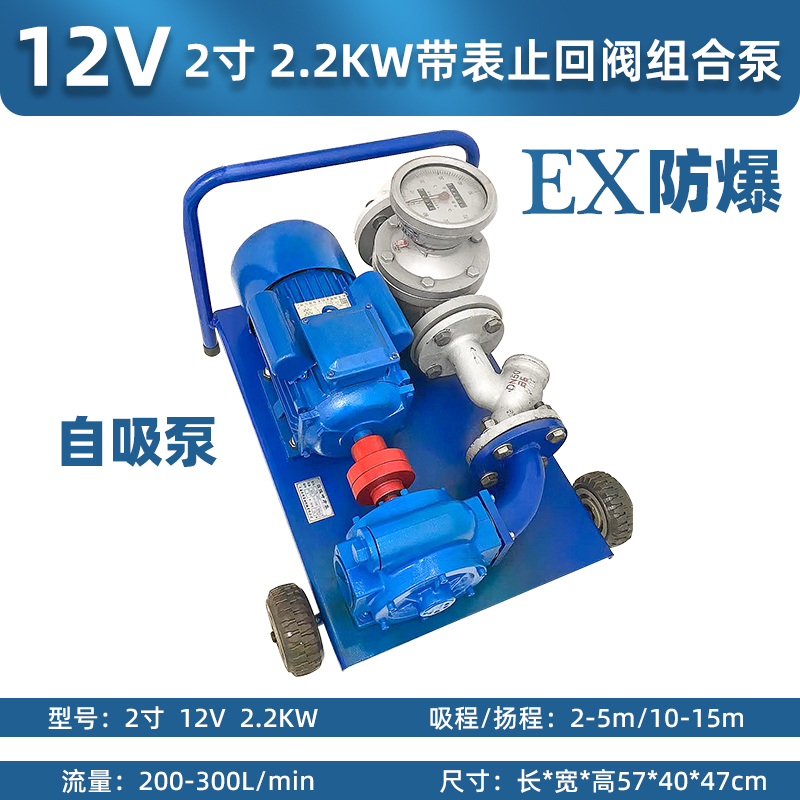 12V / 24V DC bomba diesel bomba de reabastecimiento bomba de bombeo bomba de autoaspiración bomba diesel aspirador de alta potencia bomba diesel