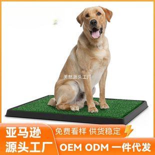 Cross-Border Golden Pet Lawn Toilet Mat Indoor Grass Dog Toilet Usable Replacement Urine Pad Waterproof Washable Dog Urine Pad