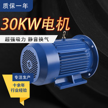 �S��ֱ�N���ஐ��늄әC30KW����늙Cȫ�~�����ʹ��I����늙C