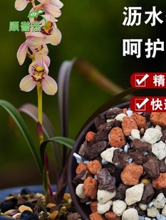 Special Soil for Orchids Nutrient Soil for Phalaenopsis and Clivia Plants Special Granular Soil for Pine Bark Orchid Soil