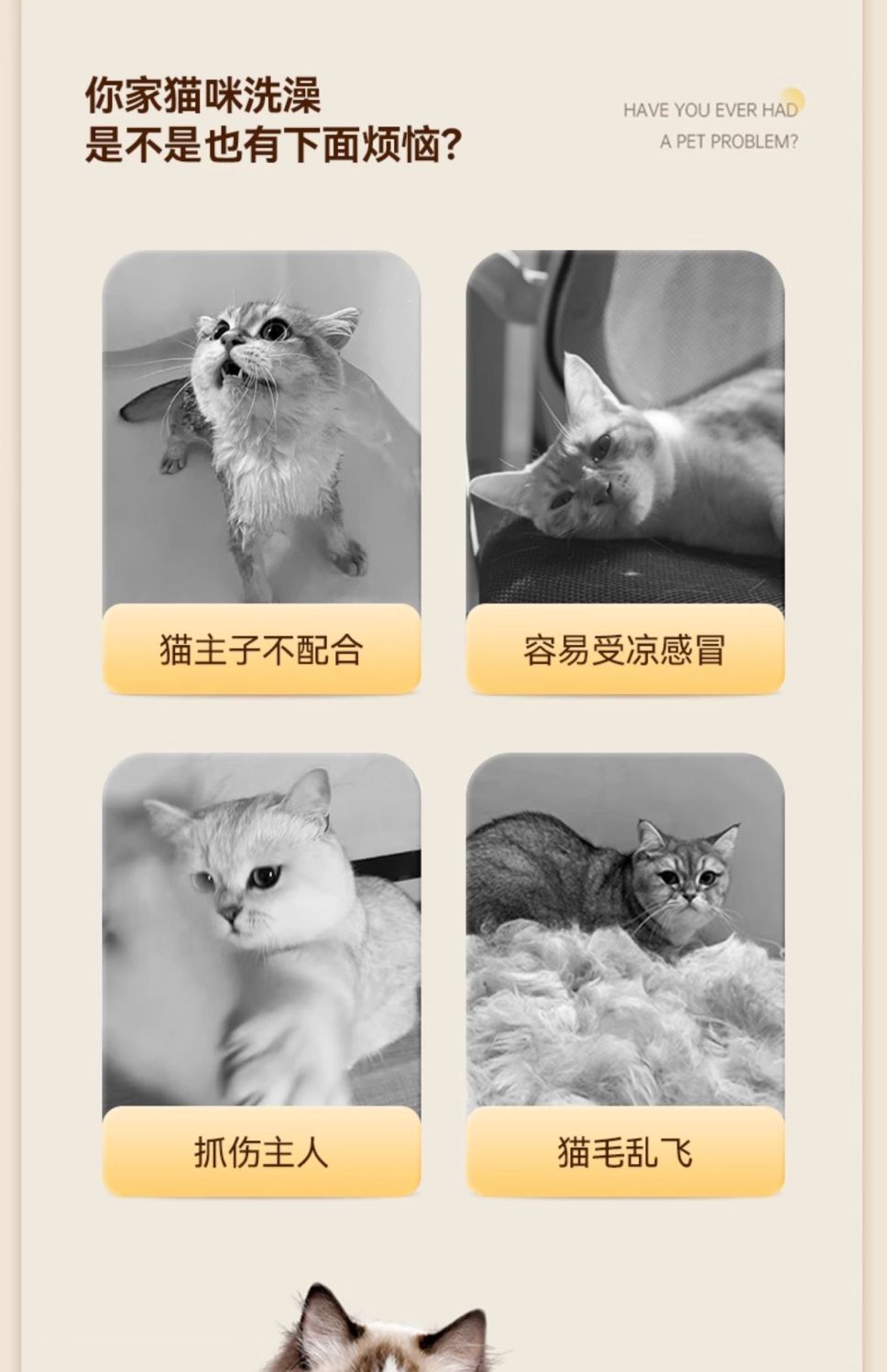 e915b943-acd5-4b8f-8093-65ff7b559048.jpe