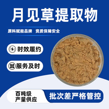 月见草提取物月见草粉月见草植物萃取食品保健原料月见草提取物