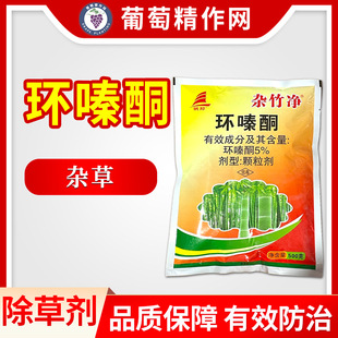 �s��� 5%�h�ͪ�hຆL���ݠ�����߀���~ɭ�ַ���������w����