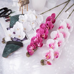 Hand-Feeling Glue Wet Large Butterfly Orchid Wedding Artificial Flower Simulation Flower Home Decor Simulation Plant MW18902