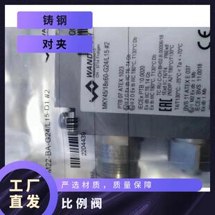 wandfluh�f����늴œQ���y MQCF A06 P/A-100 C24/15���Һ�yȫ��