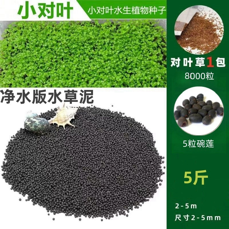 [핫세일] 워터그라스머드 2.5kg - 작은 쌍잎 8,000개 + 그릇연꽃 5개 무료