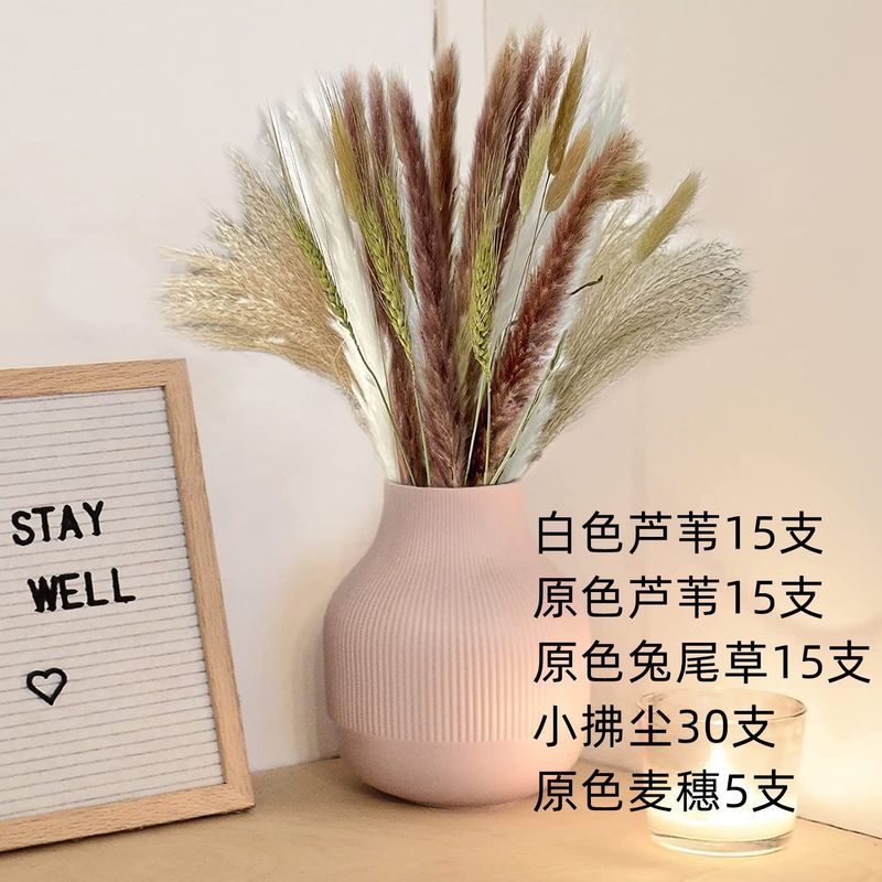 アマゾンはよく売れています。葦の花の花束です。|undefined