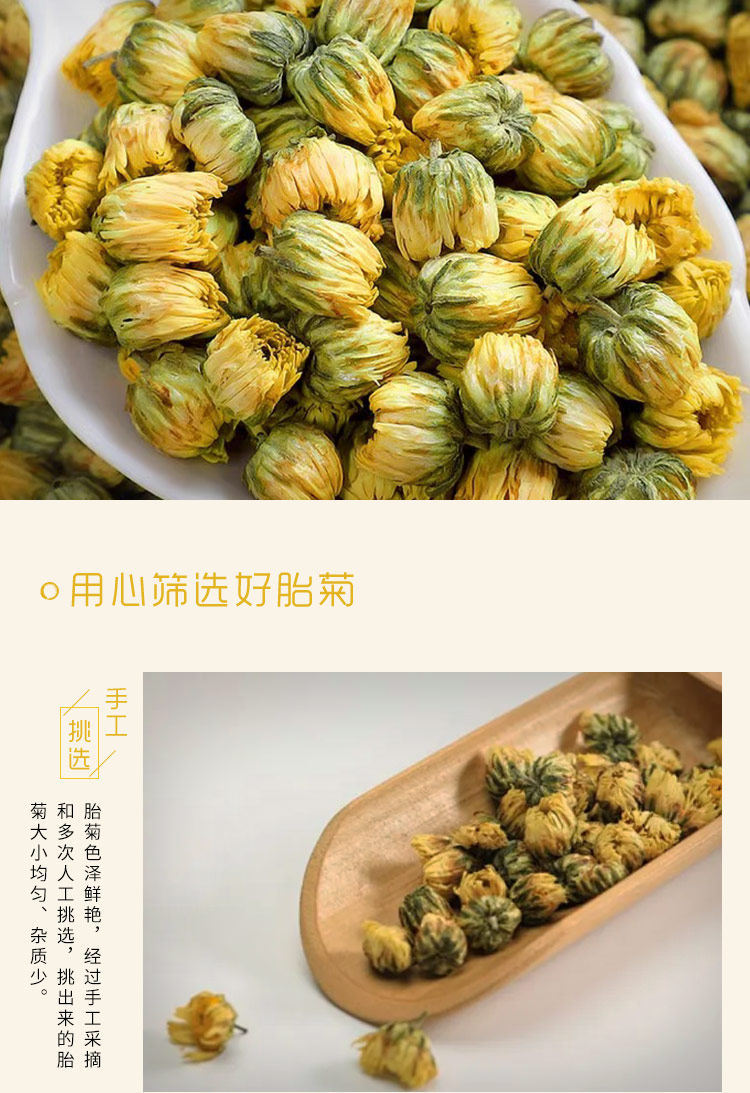 Dried Chrysanthemum Flower Tea Buds Tai Ju Loose Herbal Tea 500g in use