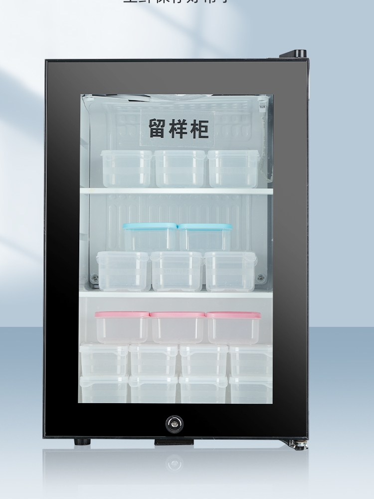 索普尼迷你小冰箱幼儿园学校食品留样柜节能带锁药品冷藏保鲜家用