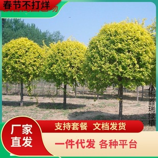 һ�����lͥԺ�G������~�ܘ���������͘��S���ܘ����ܘ����е���