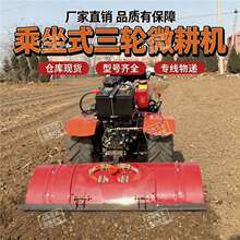 �����C�������ط����C�r�ó���ʽ��2026�¿����΢���C���͸���C