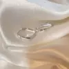 Серебристый (пара)