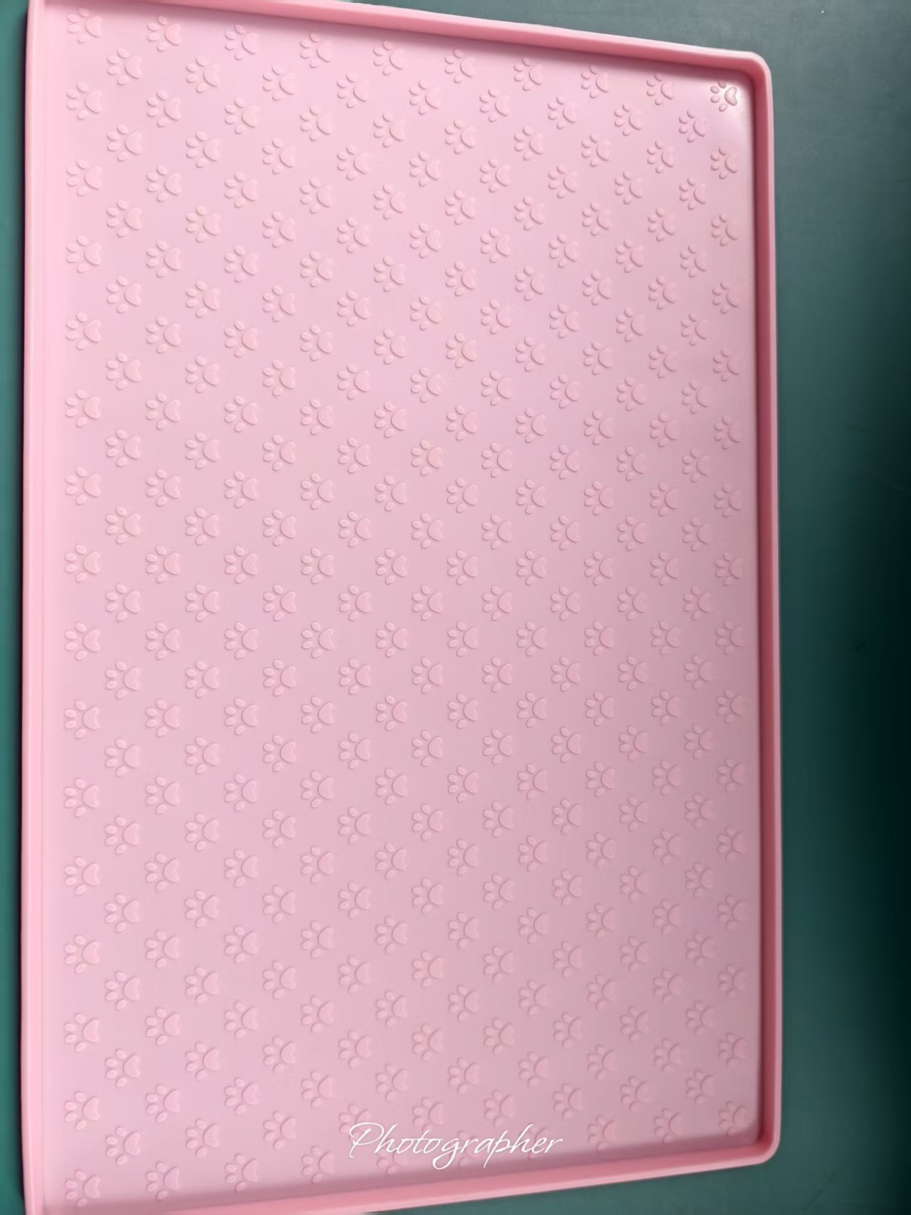 핑크(480*300)