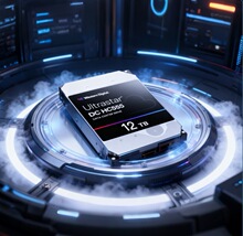 �������������ݣ�WD����ҵ��Ӳ��12TB WUH722012CL5204��������